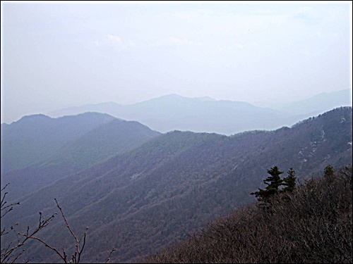 저 능선 너머로 보이는 산이 연인산 